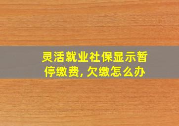 灵活就业社保显示暂停缴费, 欠缴怎么办